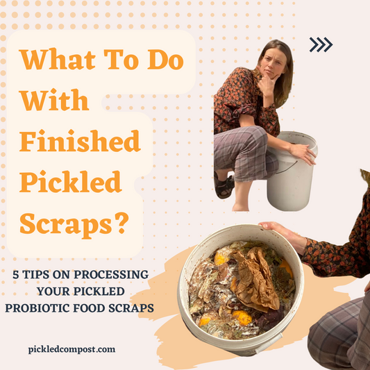 6 Tips to Process and Use Pickled Food Scraps (Finished Bokashi)