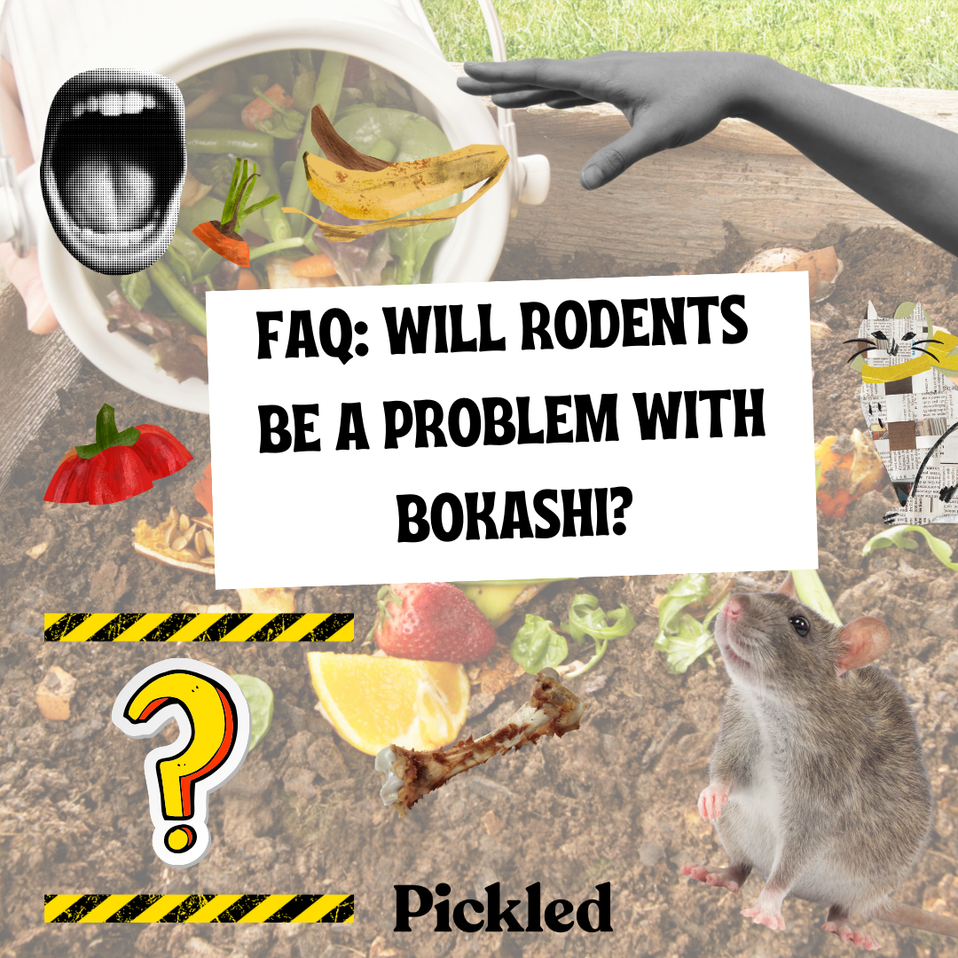 How to Keep Rats out of your Bokashi and Compost – Pickled