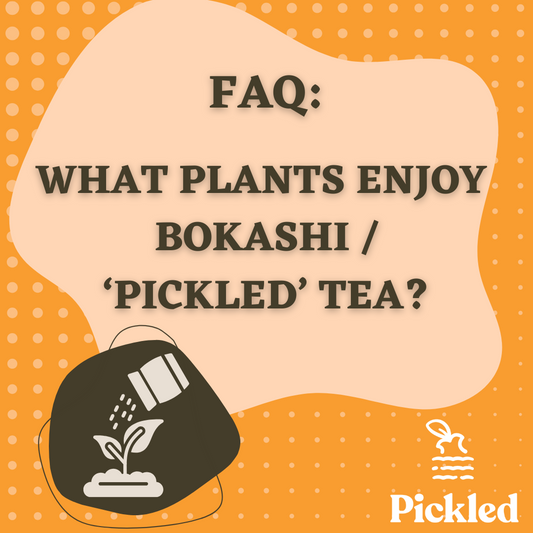 What Plants Enjoy Bokashi / Pickled Tea?